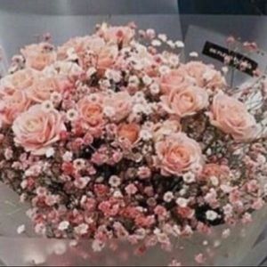 Meet your Posher, Yasmin